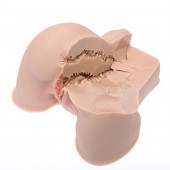 Мастурбатор-полуторс Naked Factory Kate - Naked Factory - в Уфе купить с доставкой