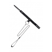 Черный узкий однослойный ошейник с серебристым поводком-цепочкой - Pecado - купить с доставкой в Уфе