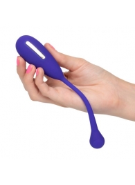 Фиолетовый шарик с электростимуляцией и вибрацией Intimate E-Stimulator Remote Kegel Exerciser - California Exotic Novelties - купить с доставкой в Уфе