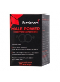 Капсулы для мужчин Erotichard male power с пантогематогеном - 20 капсул (0,370 гр.) - Erotic Hard - купить с доставкой в Уфе