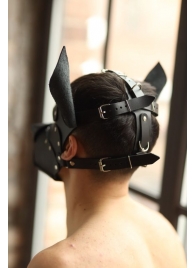 Эффектная маска собаки с металлическими заклепками - БДСМ Арсенал - купить с доставкой в Уфе