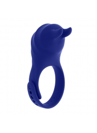 Синее эрекционное виброкольцо с клиторальной подушечкой и пультом ДУ Adjustable Fun Ring - Zero Tolerance - в Уфе купить с доставкой