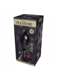 Серебристая анальная втулка Mini Metal Butt Plug Size M с красным кристаллом - Adrien Lastic в Уфе Серебристая анальная втулка Mini Metal Butt Plug Size M с красным кристаллом - Adrien Lastic