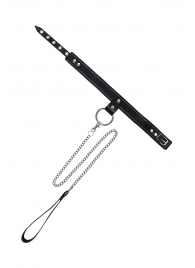 Черный узкий однослойный ошейник с серебристым поводком-цепочкой - Pecado - купить с доставкой в Уфе