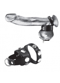 Утяжка для мошонки и пениса Cock Ring With 1  Ball Stretcher And Optional Weight Ring - BlueLine - купить с доставкой в Уфе