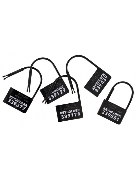 Набор для мужского пояса верности Cock Cage Set - Orion - купить с доставкой в Уфе