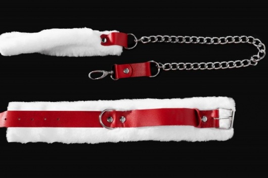 Бело-красный кожаный ошейник с поводком - Джага-Джага - купить с доставкой в Уфе