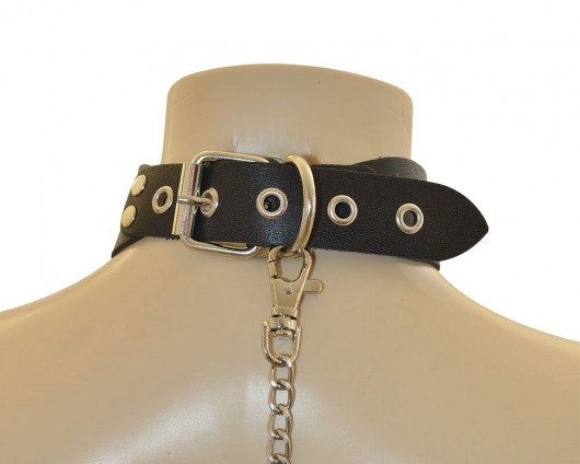 Ошейник  Веселый Роджер - Sitabella - купить с доставкой в Уфе