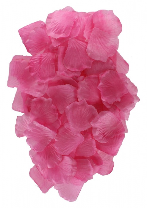 Эротический набор FANTASTIC PURPLE SEX TOY KIT - Toy Joy - купить с доставкой в Уфе