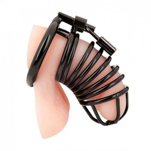 Черная металлическая клетка с замком Deluxe Chastity Cage - BlueLine - купить с доставкой в Уфе