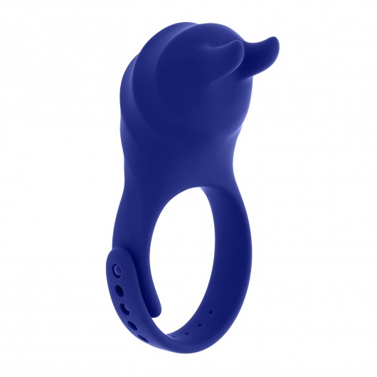 Синее эрекционное виброкольцо с клиторальной подушечкой и пультом ДУ Adjustable Fun Ring - Zero Tolerance - в Уфе купить с доставкой