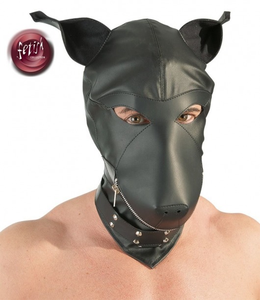 Шлем-маска Dog Mask в виде морды собаки - Orion - купить с доставкой в Уфе