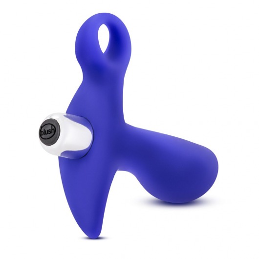 Синий стимулятор простаты с ручкой-кольцом Performance Prostimulator 02 - Blush Novelties - в Уфе купить с доставкой