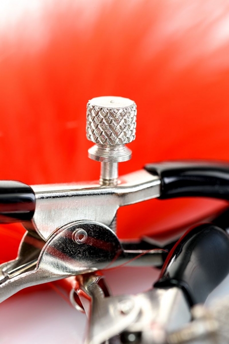 Зажимы для сосков с красным пухом Theatre - ToyFa - купить с доставкой в Уфе